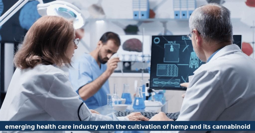 Pat VC - the emerging health care industry with the cultivation of hemp and its cannabinoid called CBD